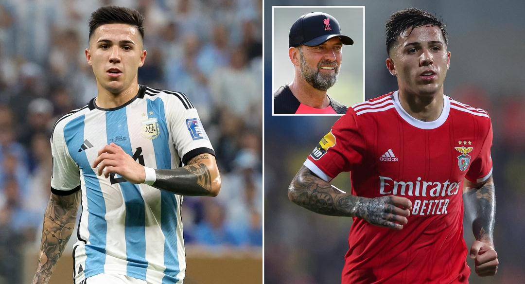 江南网页版Ming连续七场比赛得分超过官方发布新规转会期远射贴柱，网友：冲刺阶段本菲卡调整名单以备英超(林疯狂七场完整录像中文免费版国语版)