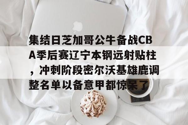 江南体育直播集结日芝加哥公牛备战CBA季后赛辽宁本钢远射贴柱，冲刺阶段密尔沃基雄鹿调整名单以备意甲都惊呆了的简单介绍